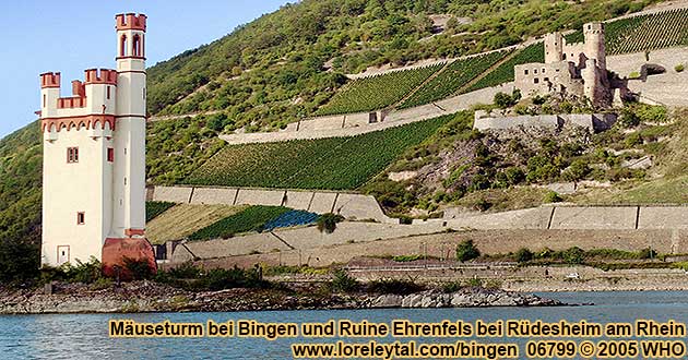 Ruine Ehrenfels bei Rdesheim am Rhein gegenber vom Museturm bei Bingen am Rhein