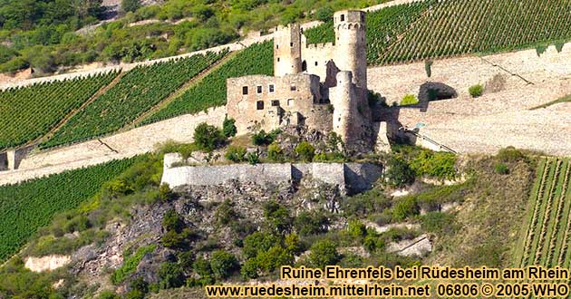 Ruine Ehrenfels bei Rdesheim am Rhein